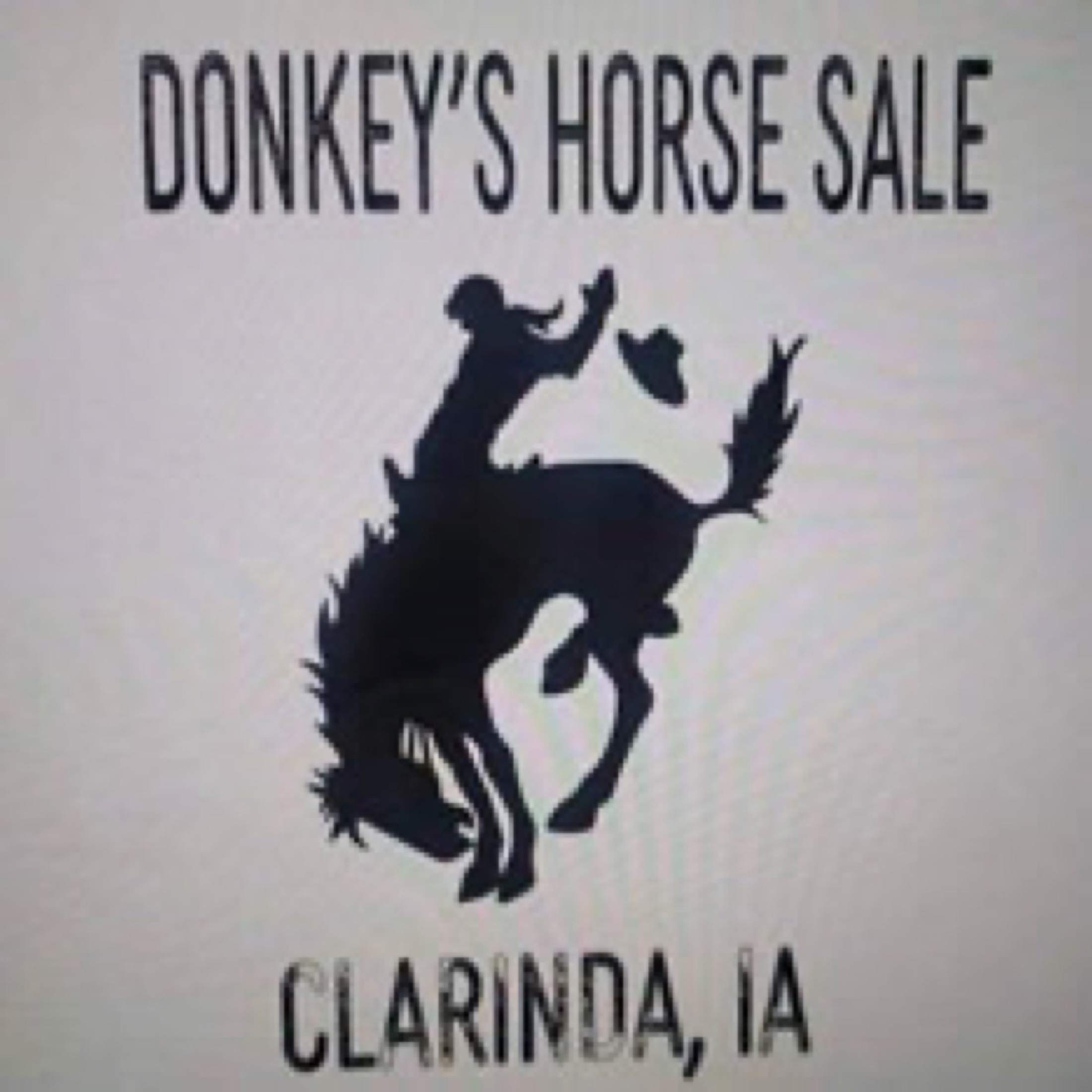 Donkey